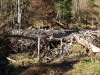 Beaver dam above Cropsey Pond